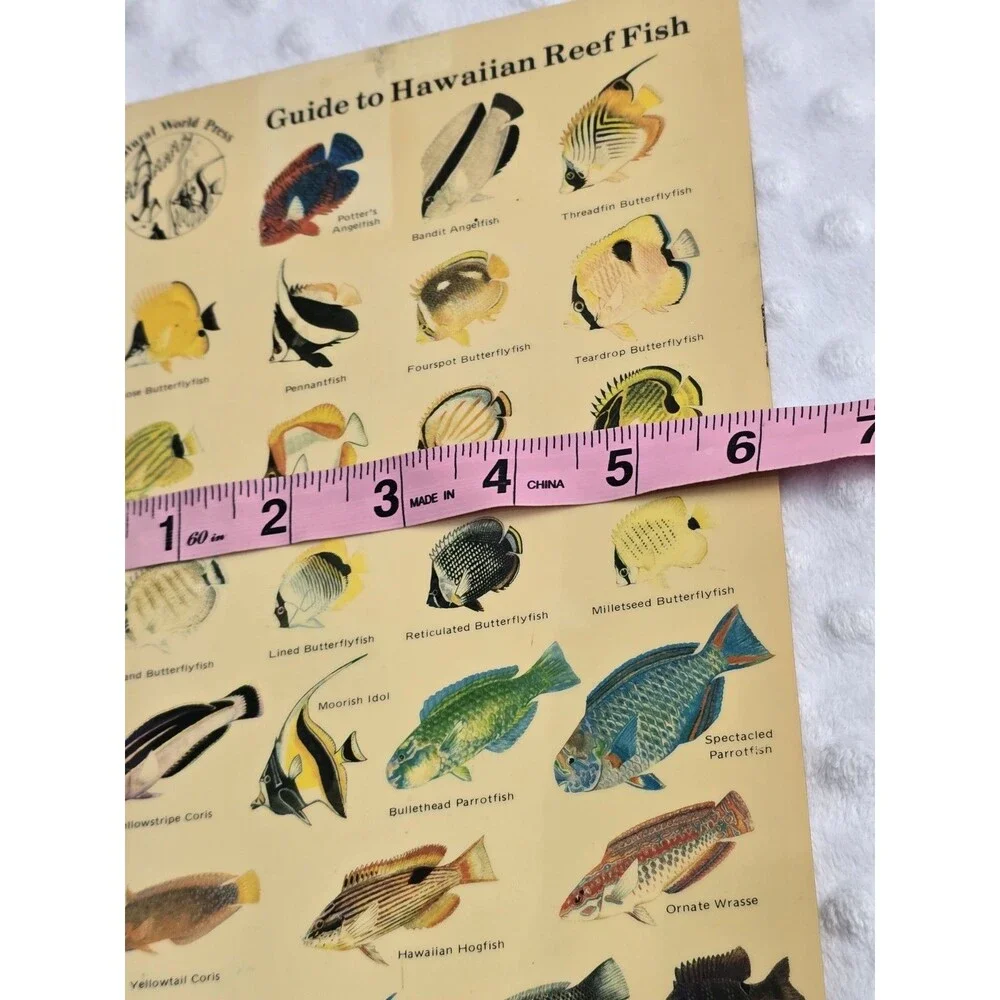 Vtg 1983 Guide to Hawaiian Reef Fish Plastic Card Natural World Press Ephemera